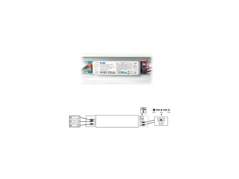 229597_ECOLITE TSV 2